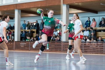 Bild 117 - F HSG Kremperheide/Muensterdorf - Slesvig IF 2 : Ergebnis: 30:26